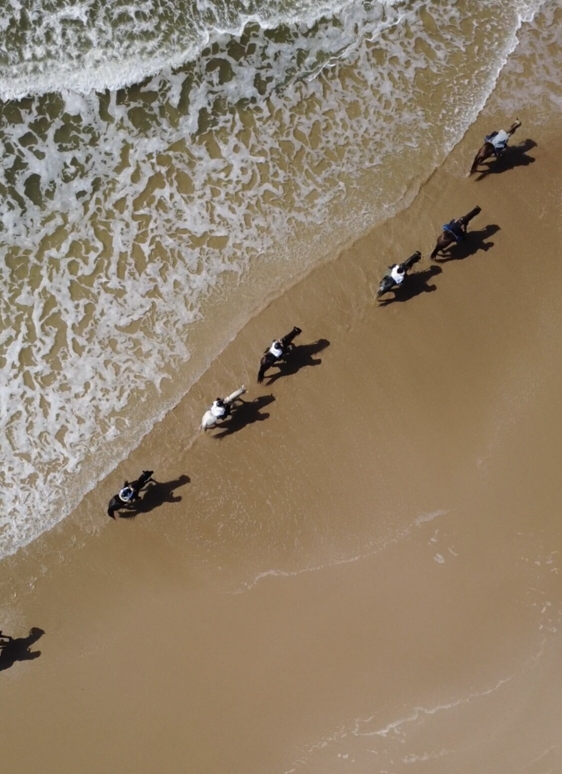 Line of riders along the shoreline, aerial view