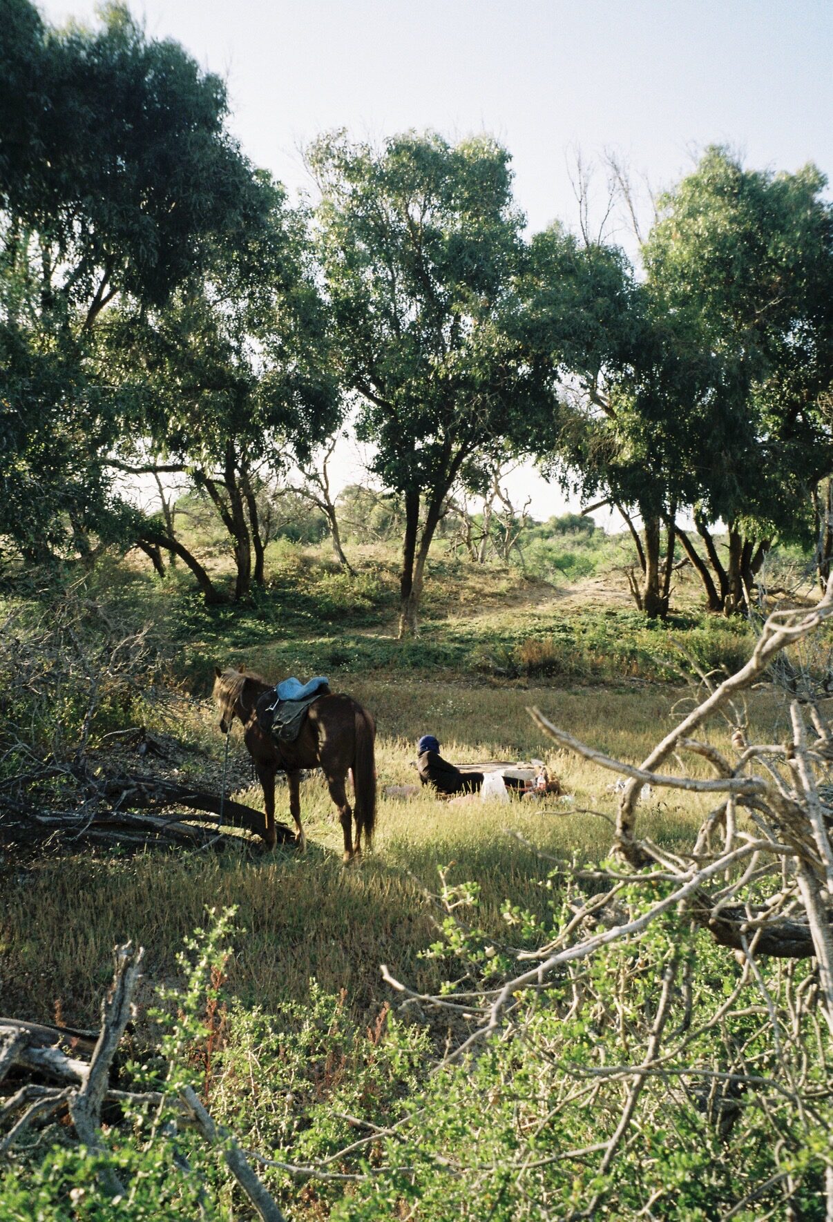 Resting in the forest during the 3-day trek